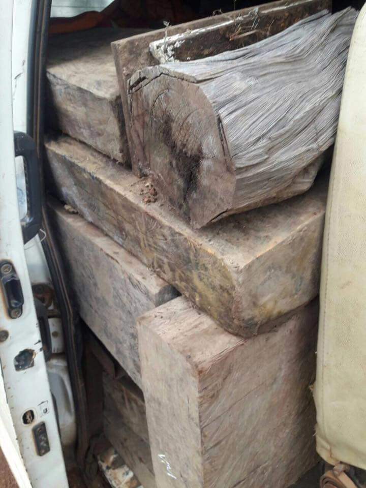 received_622853727921525