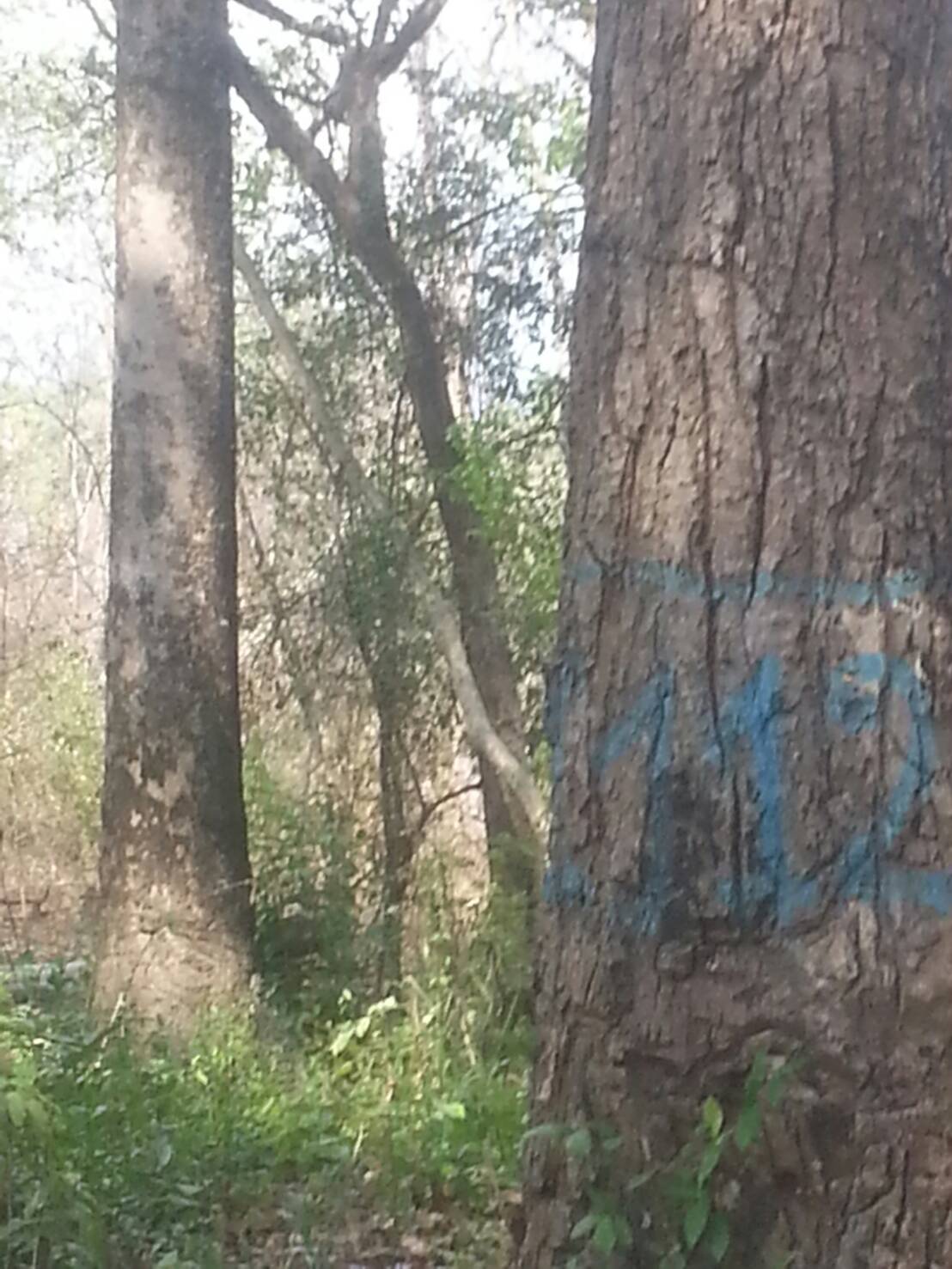 1492568577667