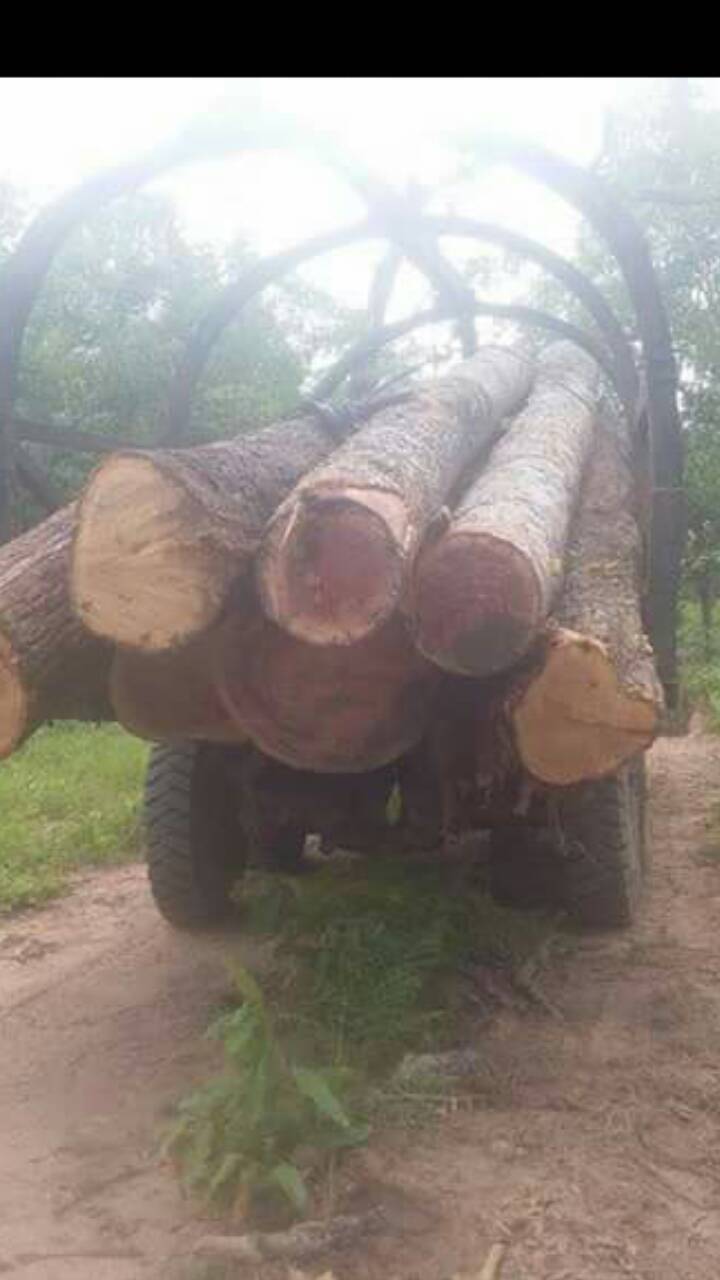 1493807602244