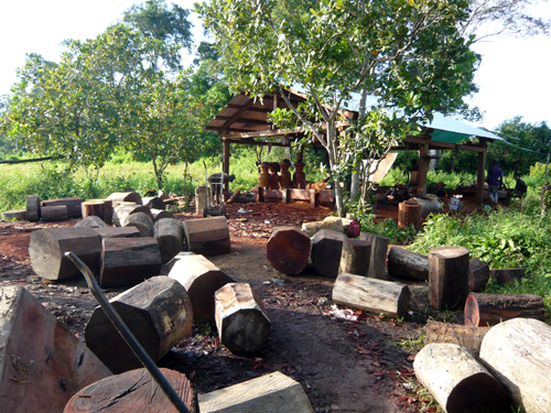 សិប្បកម្មកែច្នៃឈើប្រណីតខុសច្បាប់នៅស្រុកជ័យសែន អាចដំណើរការបានដោយមានការឃុបឃិតពីផ្នែករដ្ឋបាលព្រៃឈើស្រុកឆែប