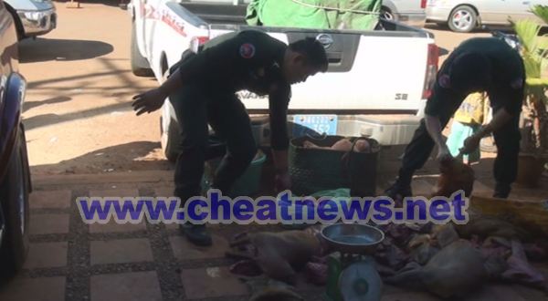 អង្គការសម្ព័ន្ធមិត្តសត្វព្រៃសហការណ៍ជាមួយកងរាជអាវុធហត្ថលើផ្ទៃប្រទេសក្រុមអន្តរាគមន៍បង្ក្រាបបទល្មើសសត្វព្រៃចល័តនិងរដ្ឋបាលព្រៃឈើគណៈ និងគណៈគ្រប់គ្រងផ្សារបានលុងចុះបង្ក្រាប់ទីតាំងលក់សាច់ព្រៃខុសច្បាប់