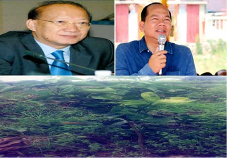 អ្នកស្រី ឆែម សុន ដាក់ពាក្យ​ប្តឹង​មេភូមិ​ស្ទឹង​ថ្មី និង​បក្ខពួក​ពី​បទ​ប្រើ​អំណាច​រំលោភ​យក​ដី​ចំកា​រ​