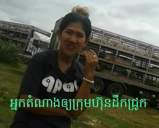 មេគយ បឹងត្រកួន រងការរិះគន់ ឃុបឃិត ជាមួយ ឈ្មួញនាំ ជ្រូកពីថៃ
